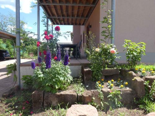 Apartments in Fischbach bei Dahn Pfälzerwald 42914 — Fischbach — photo 2