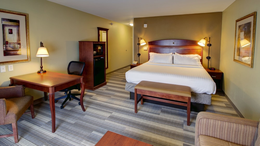 Holiday Inn Express & Suites Sioux City Southern Hills by IHG - photo 15