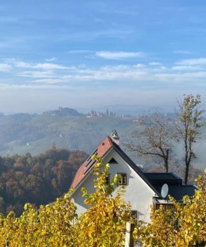 Weingartenhaus Eckberg41 - carbon neutral hotel in Unknown City