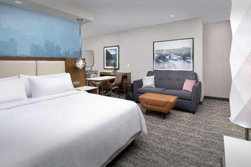 Embassy Suites by Hilton Knoxville Downtown - photo 74