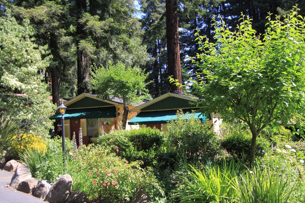 Fern Grove Cottages - photo 15