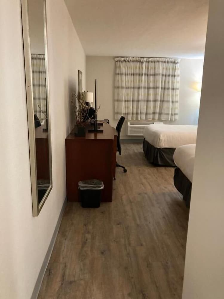 The Hotel Orange - photo 16