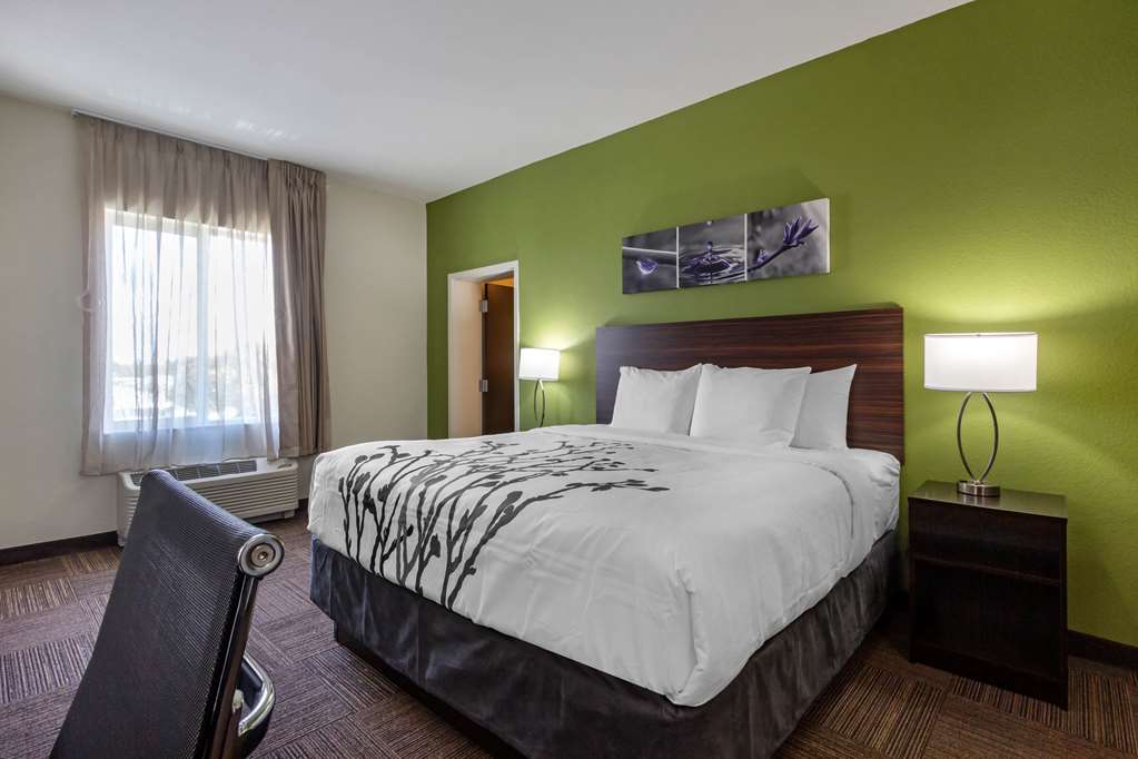 Sleep Inn & Suites Tampa South - photo 28
