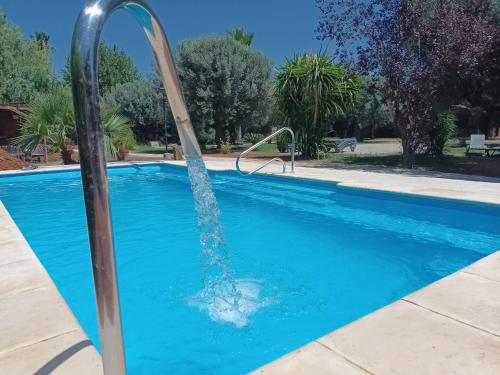 Entre Viejos Olivos pet-friendly hotel Benicolet