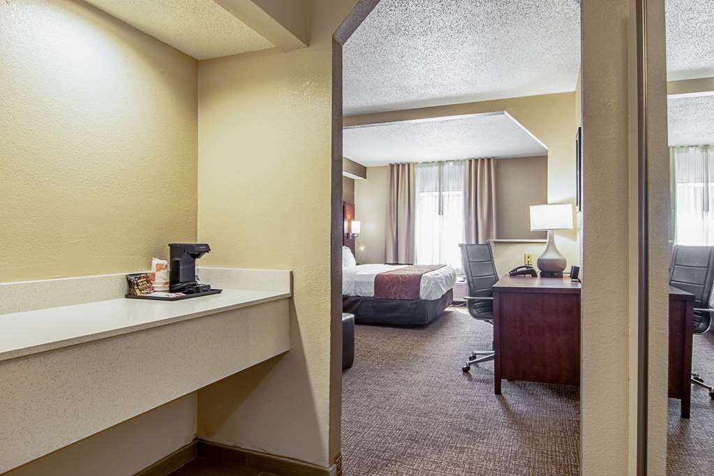 Comfort Suites Knoxville Airport - photo 18