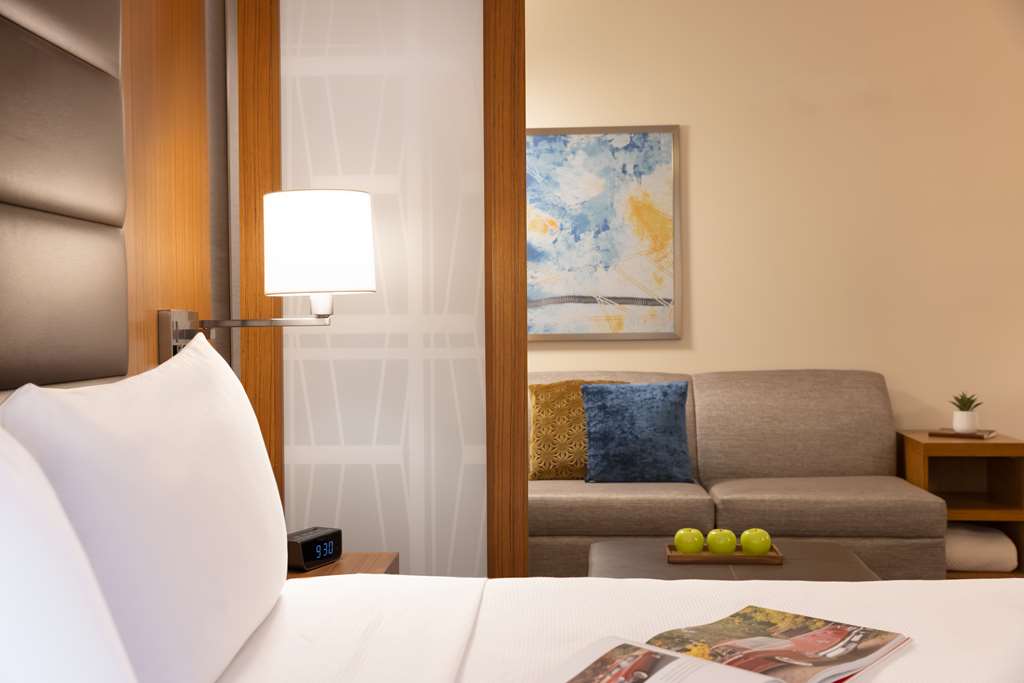 Hyatt Place Houston Downtown - photo 4