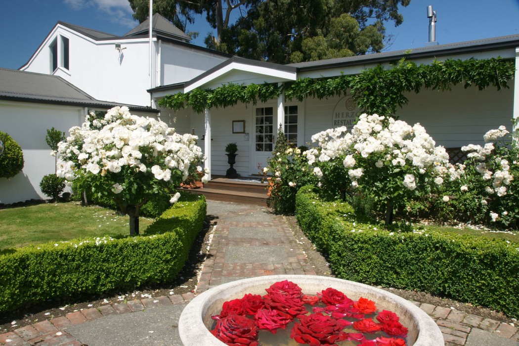 Herzog Winery in Blenheim, New Zealand