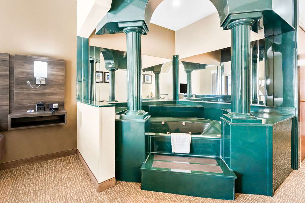Comfort Suites near Robins Air Force Base - photo 21