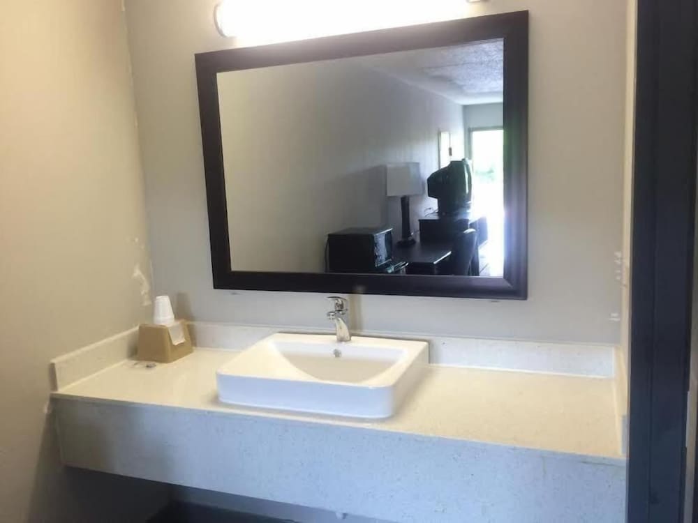 Lotus Inn and Suites - photo 7