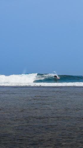 Sumatra Surf Resort — Biha — photo 3