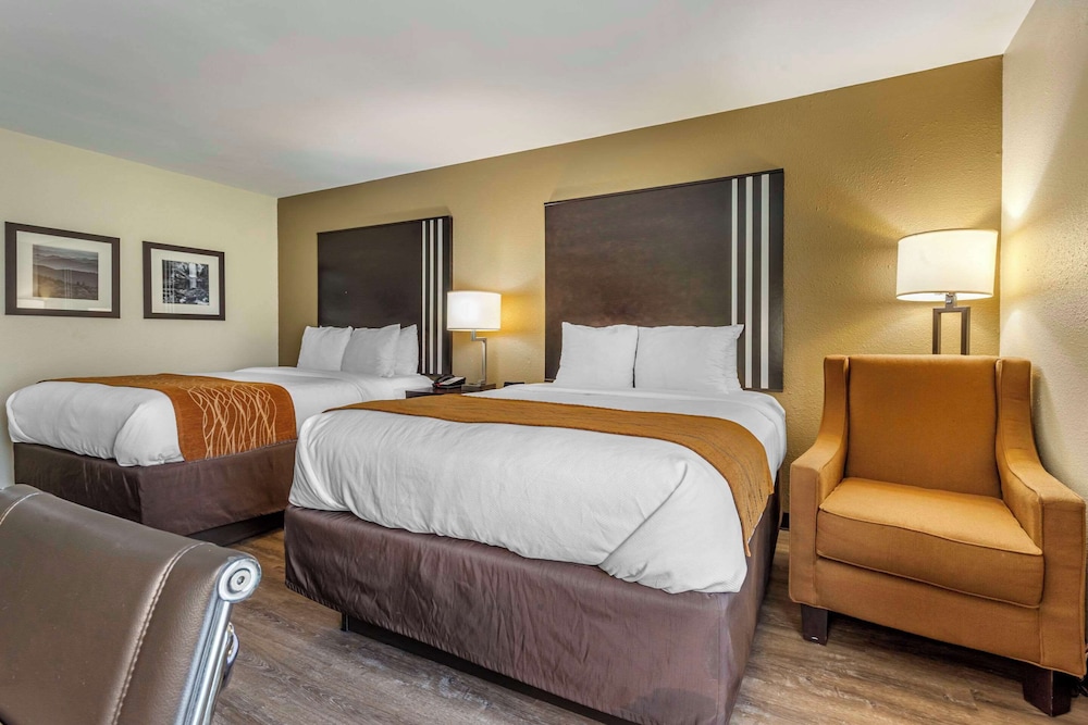 Comfort Inn Marion near Downtown & Blue Ridge PKWY - photo 14
