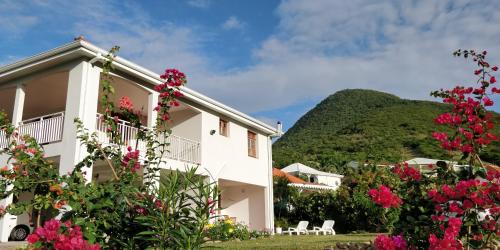 Lapalomadesanses2 in Unknown City, Martinique