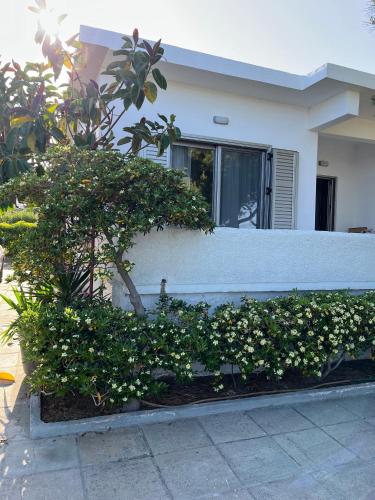 Sea View Beach House near Athens Airport — 4-Star Luxury Hotel in Artemida, Greece