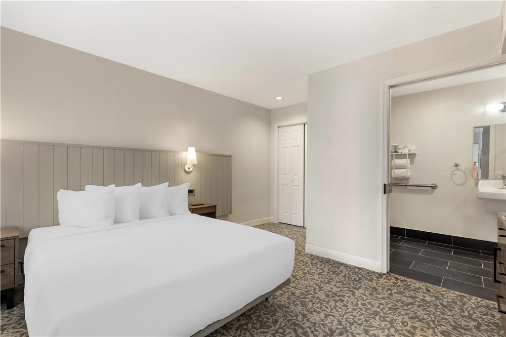 Sonesta ES Suites Dulles Airport - photo 45
