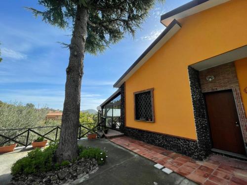 Etna Family — Belpasso