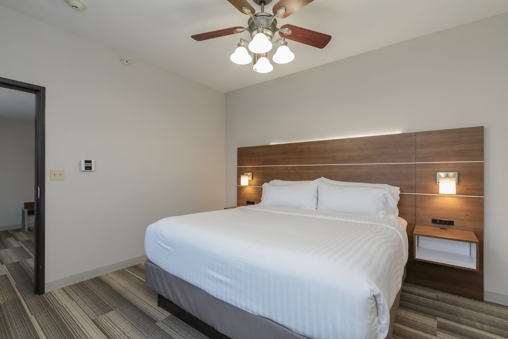 Holiday Inn Express Hotel & Suites South Bend by IHG - photo 41