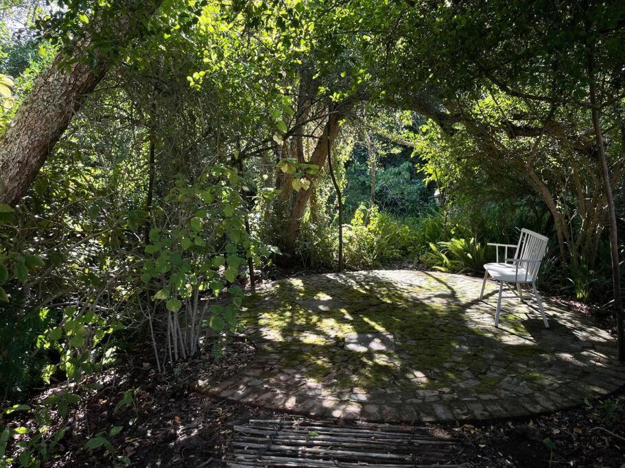 Wild Plum in Knysna, South Africa