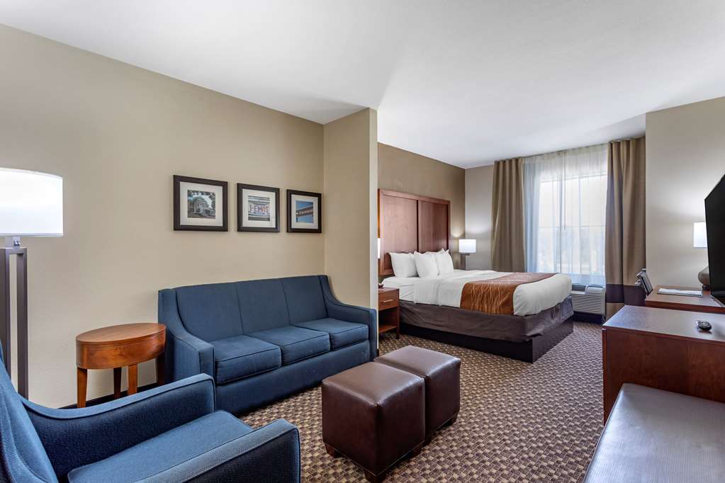 Comfort Inn & Suites Atoka Millington - photo 25