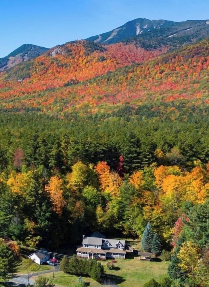 Whiteface Farm Adirondack Bed and Breakfast - photo 50