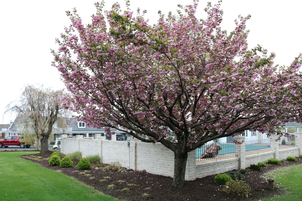 The Village Inn Harrisonburg - photo 55