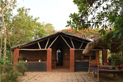 Bastar Birds Nest in Jagdalpur, India
