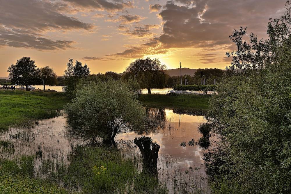 Land view from property
