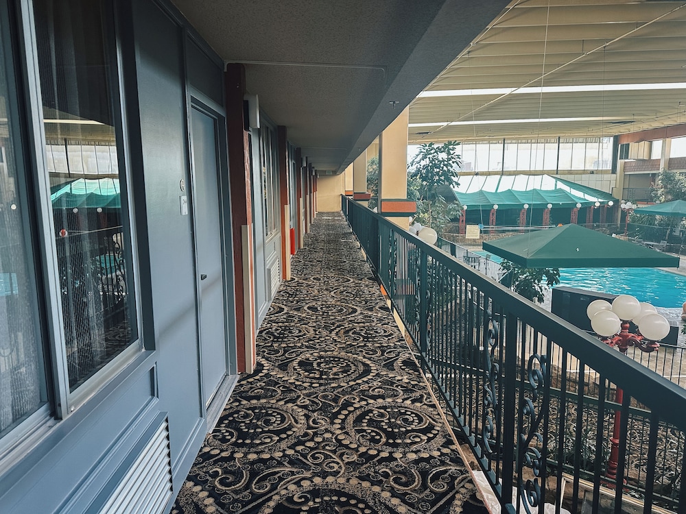 Quality Inn & Suites Fort Collins East - photo 32