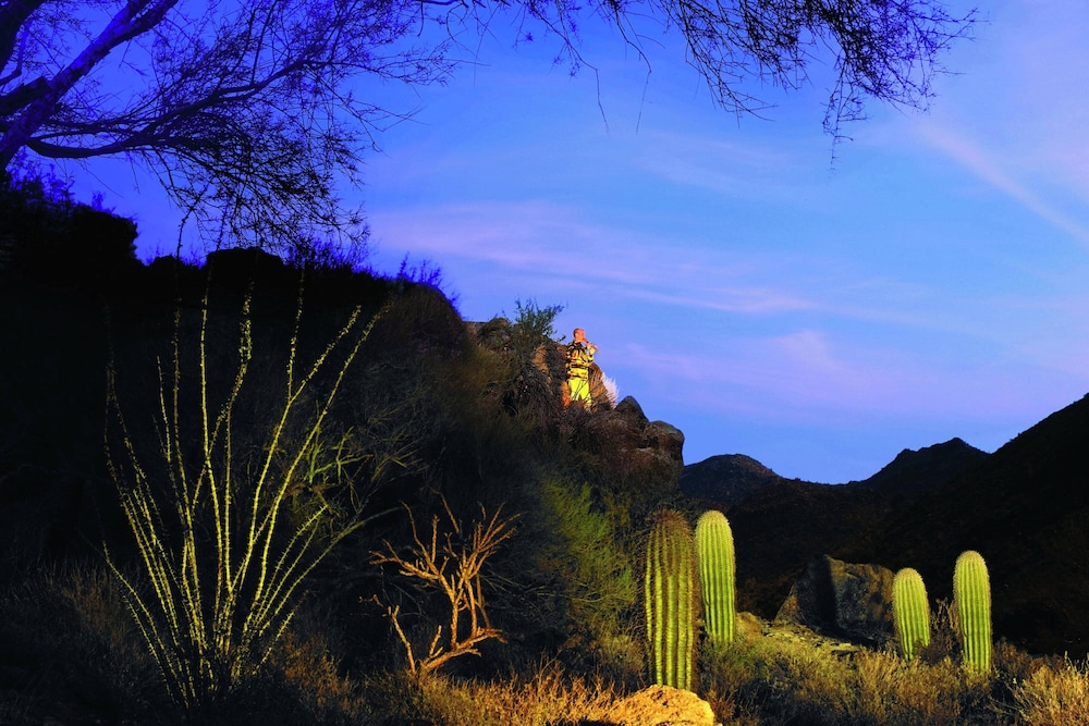 The Ritz Carlton Dove Mountain - photo 70