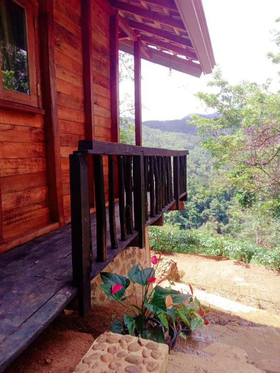 Woodland Hideaway in Sinharaja in Unknown City, Sri Lanka