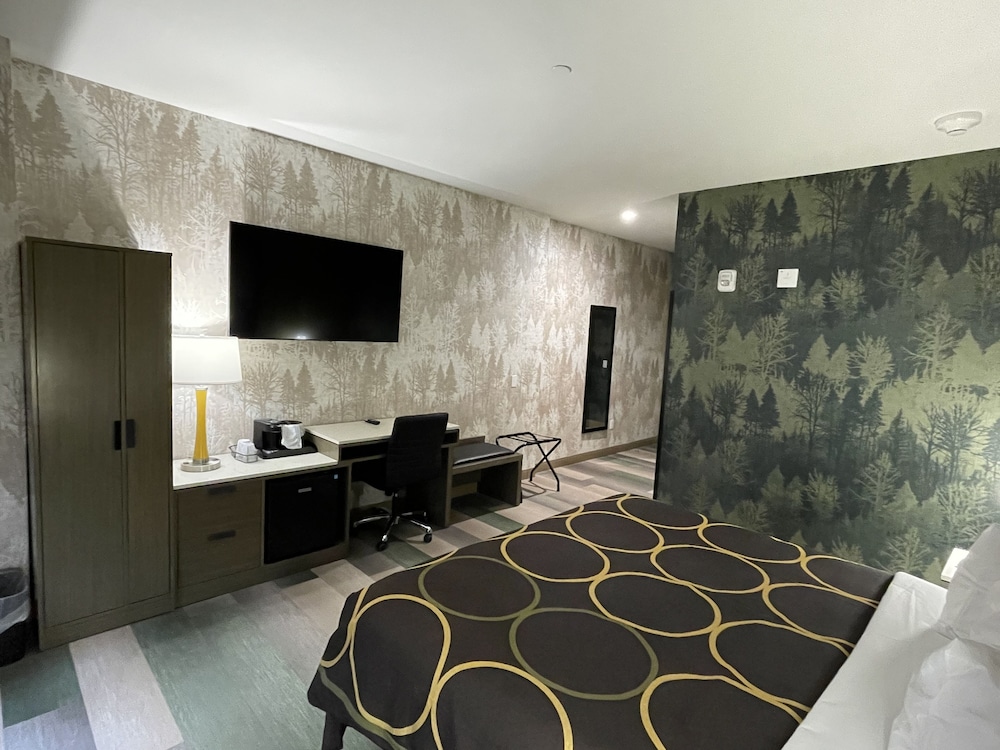 Super 8 by Wyndham Bronx Near Botanical Garden - photo 10