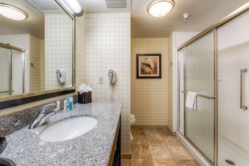 Hampton Inn & Suites Detroit Airport Romulus - photo 18