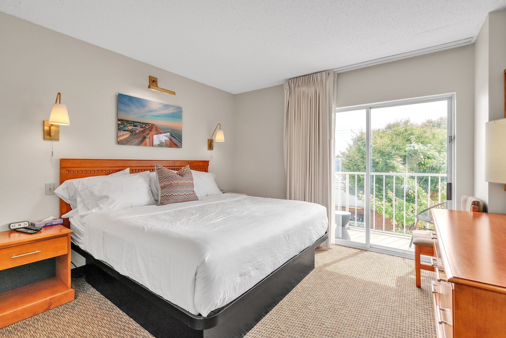 Cape Suites Motel - photo 18