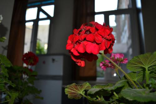 Tbilisi Apartment 2