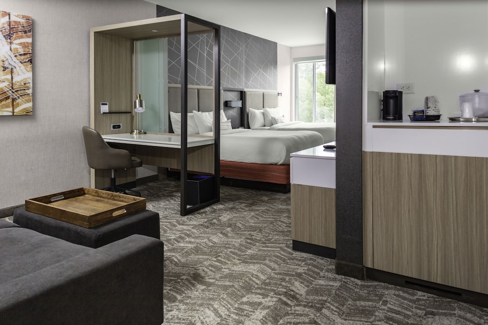 SpringHill Suites by Marriott Atlanta Alpharetta Roswell - photo 4