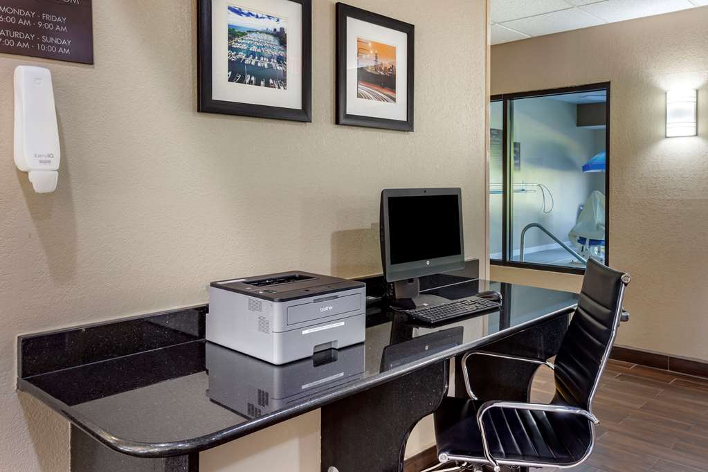 Comfort Inn & Suites North Aurora Naperville - photo 25