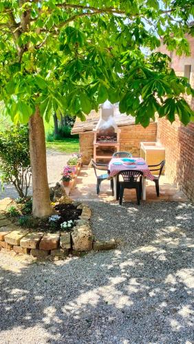 L’oca Nera — Chiusi — photo 5