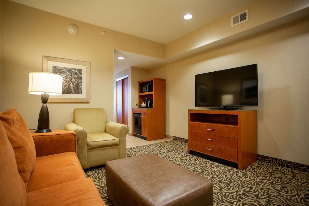 Hilton Garden Inn Cedar Falls - photo 26