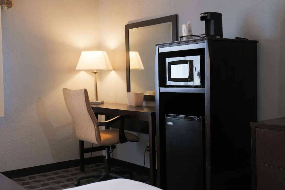 Baymont by Wyndham Flint Airport North - photo 34