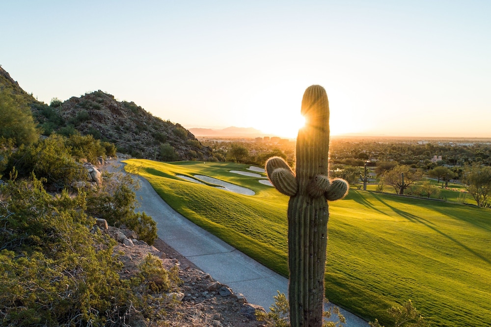 The Canyon Suites at The Phoenician Luxury Collection - photo 74