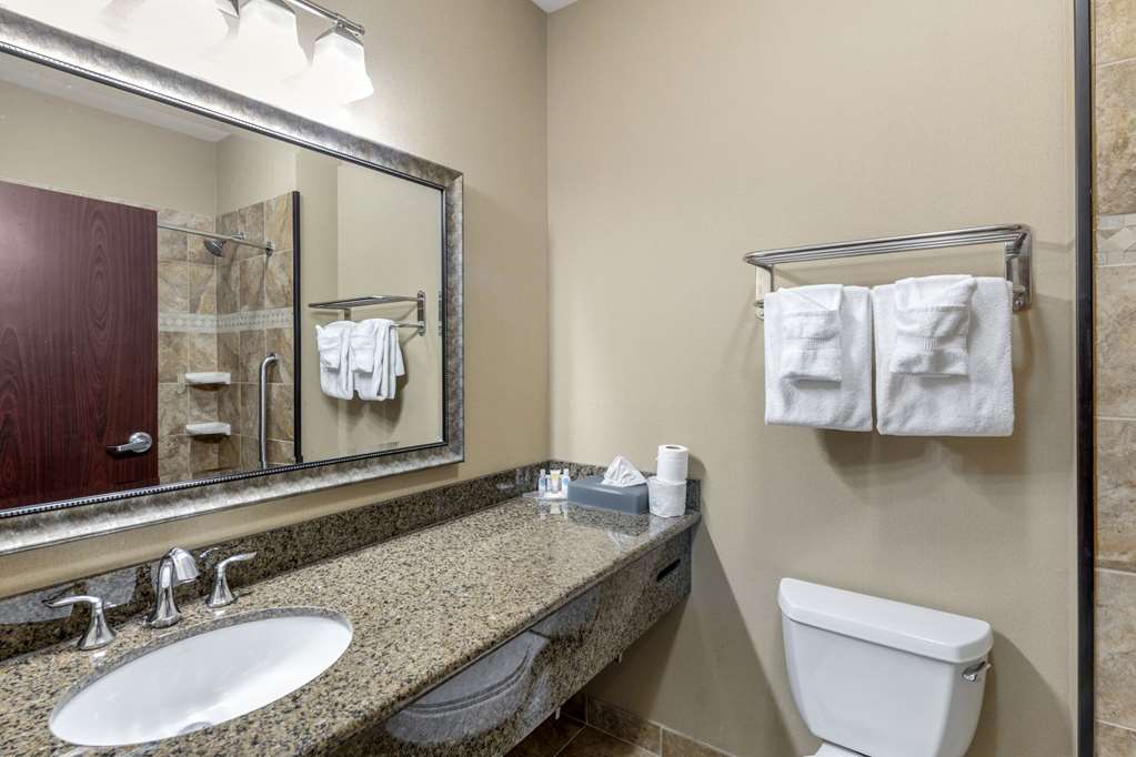 Comfort Inn & Suites Fort Worth Fossil Creek - photo 26