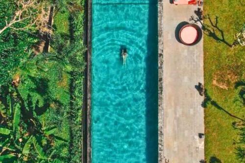 Neena 1 BR Suite Tropical Jungle — 4-Star Luxury Hotel in Ubud, Indonesia