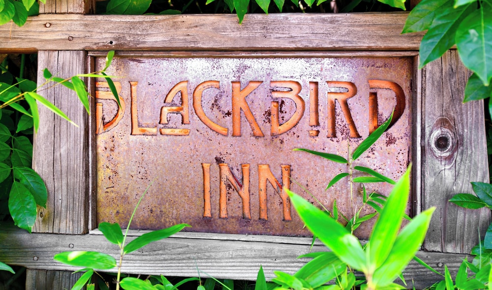 Blackbird Inn - photo 66