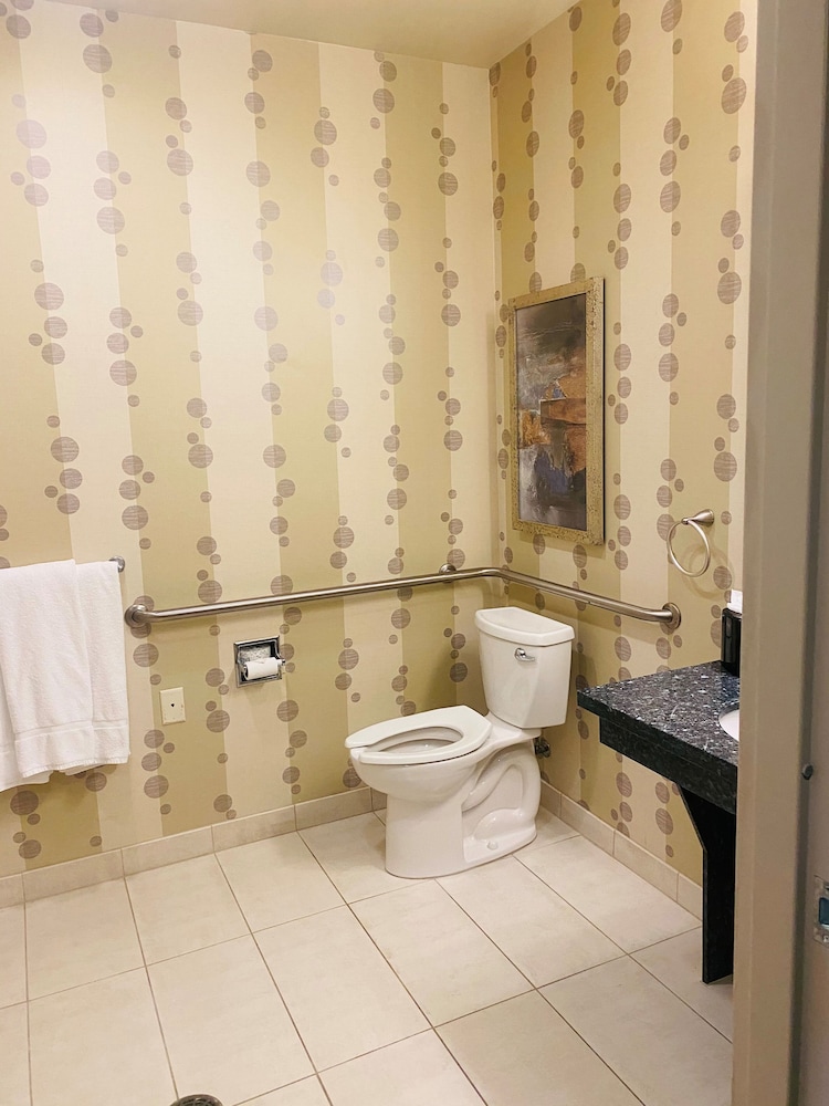 Hilton Garden Inn Fort Worth Alliance Airport - photo 30