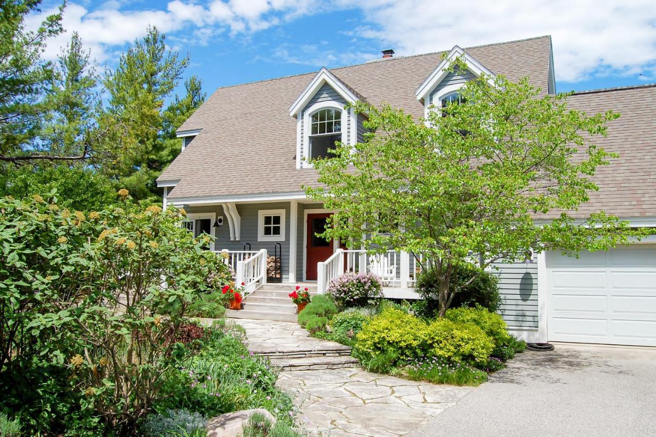 Blue Bear in Traverse City, United States