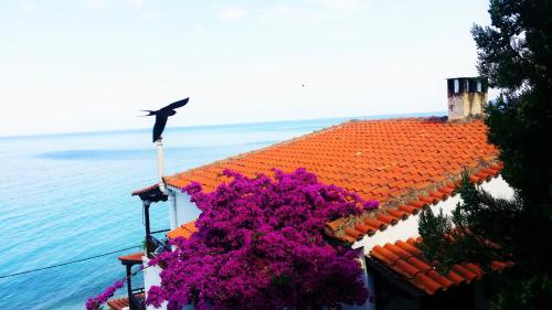 Acrogiali Sunshine in Kallithea, Greece