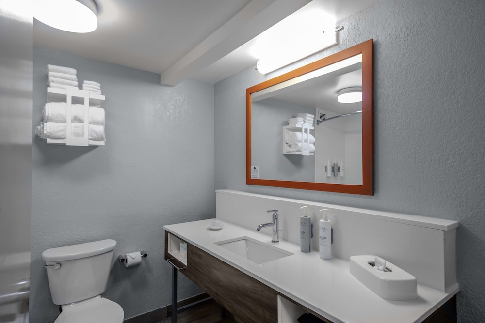 Hampton Inn Sarasota I 75 Bee Ridge - photo 13