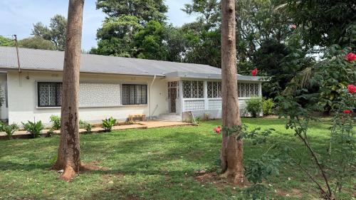 Malaika Oasis in Moshi, Tanzania