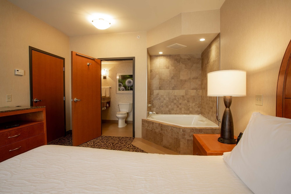 Hilton Garden Inn Cedar Falls - photo 11