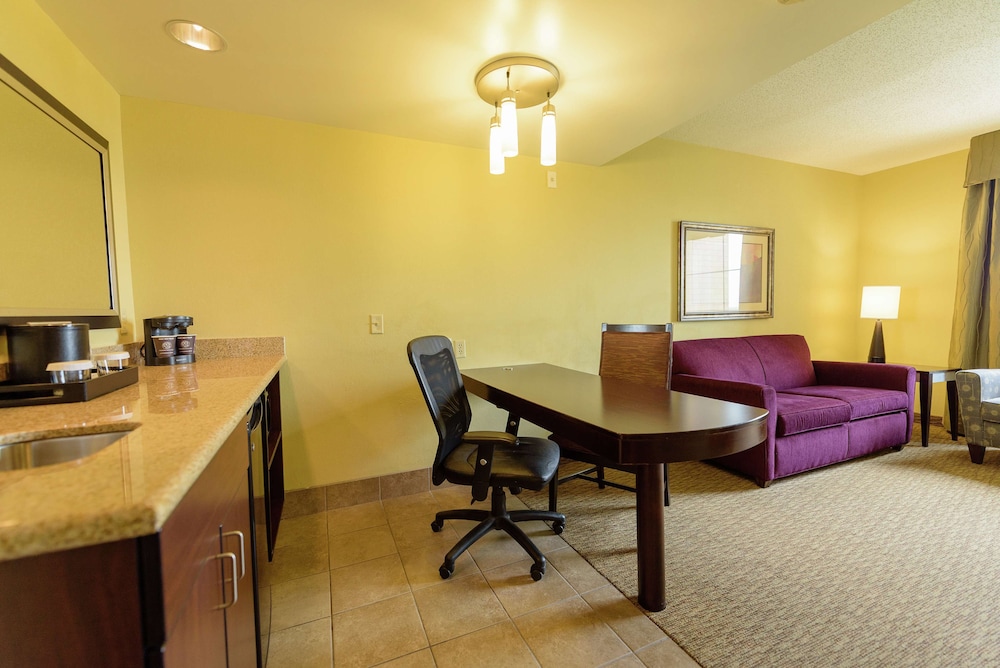 Embassy Suites by Hilton Minneapolis North - photo 12