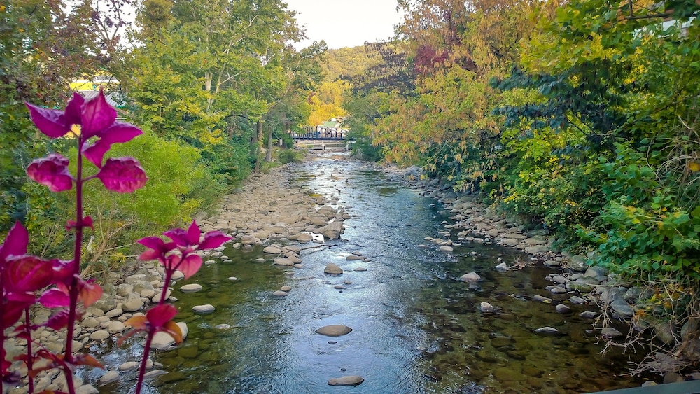 River Terrace Resort & Convention Center - photo 37